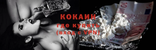 шишки Абинск