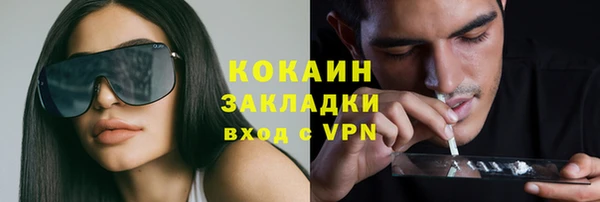 шишки Абинск