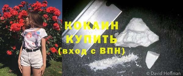 шишки Абинск
