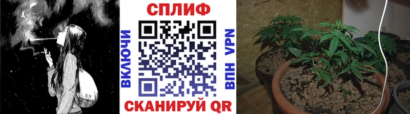 Канабис Ganja  Нариманов 